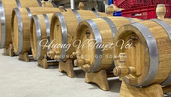 cách chọn thùng gỗ sồi ủ rượu vang