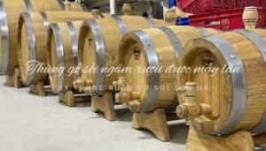 thùng gỗ sồi ngâm rượu được mấy lần