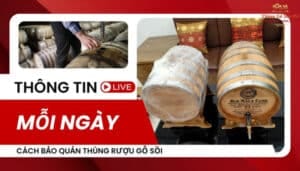hướng dẫn cách bảo quản thùng rượu gỗ sồi