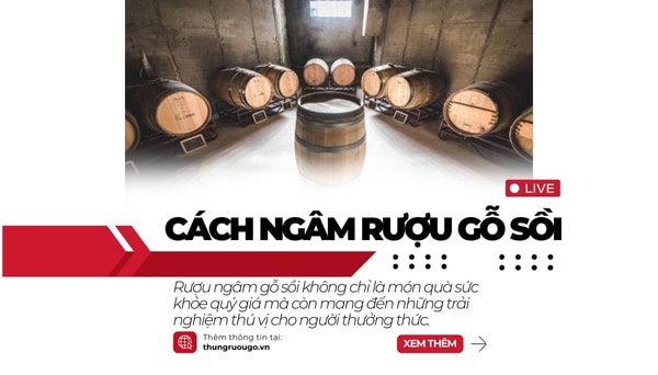 cách ngâm rượu gỗ sồi