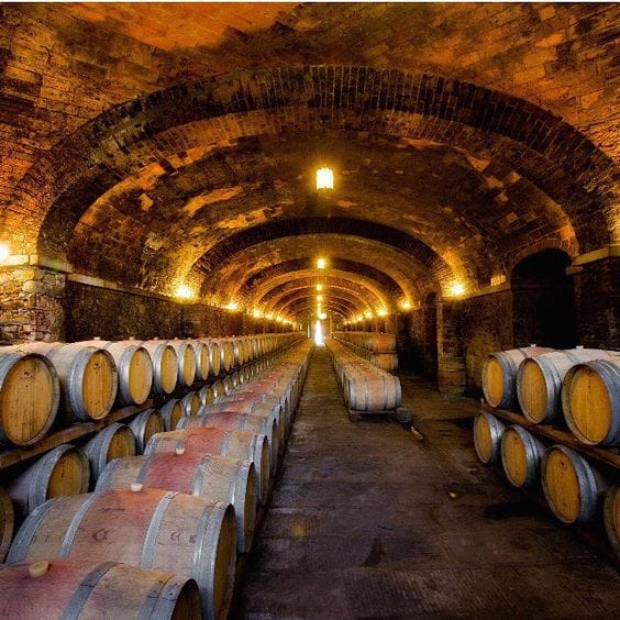 Check-list xử lý thùng rượu gỗ sồi mới trong 24–48h ngam no mong thung ruou go soi