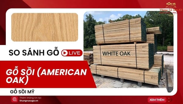 Gỗ sồi Mỹ (American Oak): hương vị, độ đốt & cách chọn thùng gỗ sồi mỹ nổi tiếng với hương vani, dừa, caramel