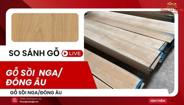 Gỗ sồi Nga/Đông Âu: mộc mạc, êm dịu & chọn thùng kinh tế gỗ sồi nga