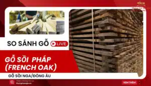 gỗ sồi pháp