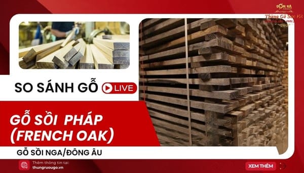 Gỗ sồi Pháp (French Oak): hương tinh tế, ủ lâu & chọn độ đốt gỗ sồi pháp