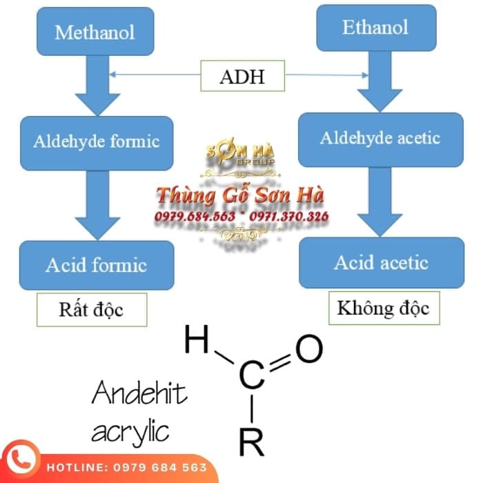 Rượu khử Andehit là gì? Hướng dẫn đúng, an toàn và hiệu quả Sơ đồ quá trình oxy hóa ethanol thành andehit trong rượu
