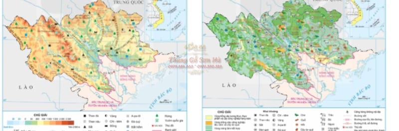 Cây sồi có ở đâu? Bản đồ phân bố, sinh cảnh, khí hậu nguồn gốc chi Quercus Bản đồ minh họa các khu vực chính nơi cây sồi (chi Quercus) sinh trưởng tự nhiên trên thế giới, tập trung ở Bắc bán cầu